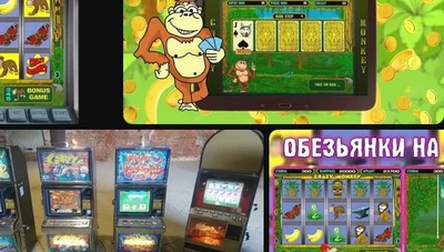 Игровые автоматы обезьянки: Особенности игрового поведения